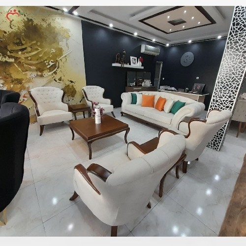 مبل 8 نفره طرح پینار دارای رنگ بندی متنوع پارچه و بدنه، ساده در عین حال شیک، جنس چوب سوپر راش گرجستان و ضمانت24 ماهه